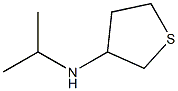 1019528-49-4