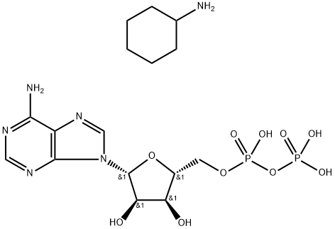 Adenosine 5′-diphosphate bis(cyclohexylammonium) salt