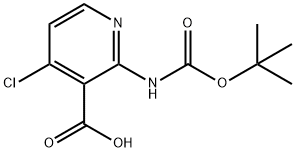 2-(tert-Butoxycarbonylamino)-4-chloronicotinic acid