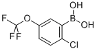 2-Chloro-5-trifluoromethoxyphenylboronic acid(contains varying amounts of Anhydride)