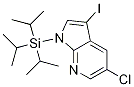 1029053-13-1