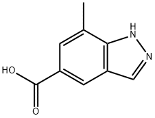 7-Methyl-1H-indazole-5-carboxylic acid