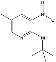 2-t-Butylamino-5-methyl-3-nitropyridine
