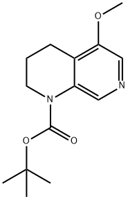 tert-Butyl 5-methoxy-3,4-dihydro-1,7-naphthyridine-1(2H)-carboxylate