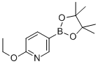 2-Ethoxypyridine-5-boronic acid, pinacol ester