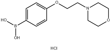 4-(2-Morpholinoethoxy)phenylboronic acid, HCl