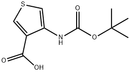 4-tert-Butoxycarbonylamino-thiophene-3-carboxylic acid