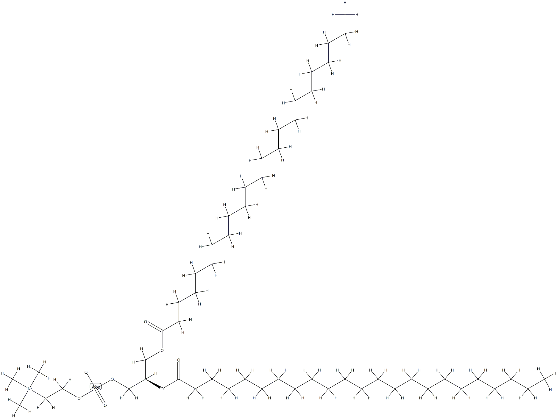 1,2-ditricosanoyl-sn-glycero-3-phosphocholine