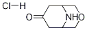 3-oxa-9-azabicyclo[3.3.1]nonan-7-one hydrochloride