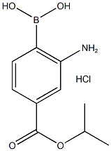 2-Amino-4-(isopropoxycarbonyl)phenylboronic acid, HCl