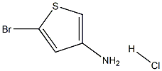 5-bromothiophen-3-amine hydrochloride