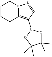 3-(tetramethyl-1,3,2-dioxaborolan-2-yl)-4H,5H,6H,7H-pyrazolo[1,5-a]pyridine