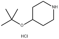 4-(tert-Butoxy)cyclohexanamine hydrochloride