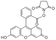 5(6)-Carboxyfluorescein N-hydroxysuccinimide ester