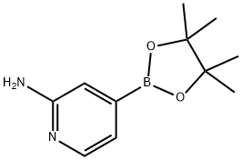 2-Aminopyridine-4-boronic acid, pinacol ester
