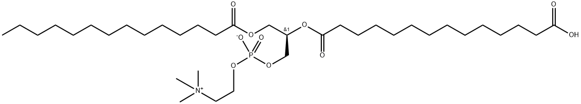 1-myristoyl-2-(14-carboxymyristoyl)-sn-glycero-3-phosphocholine