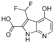 1204476-12-9