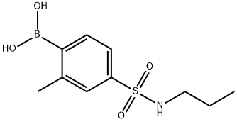 2-Methyl-4-(N-propylsulfamoyl)phenylboronic acid