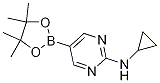 2-Cyclopropylaminopyrimidine-5-boronic acid, pinacol ester