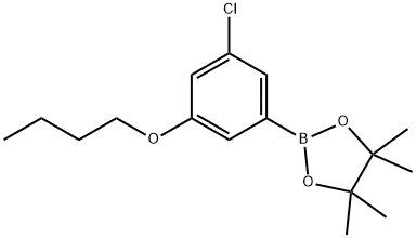 3-Chloro-5-butoxyphenylboronic acid, pinacol ester