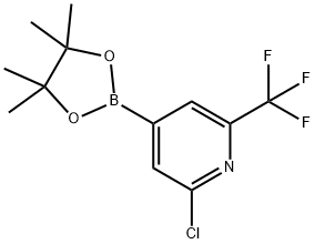 2-Chloro-6-(trifluoromethyl)pyridine-4-boronic acid pinacol ester
