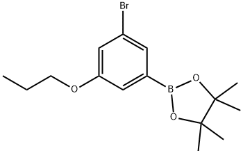 3-Bromo-5-propoxyphenylboronic acid, pinacol ester