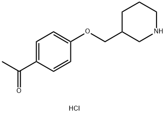 1220021-27-1