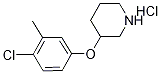1220029-14-0