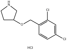 3-((2,4-Dichlorobenzyl)oxy)pyrrolidine hydrochloride