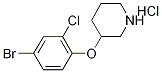 1220037-22-8