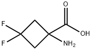 1-amino-3,3-difluorocyclobutane-1-carboxylic acid