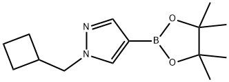 1-(cyclobutylmethyl)-4-(tetramethyl-1,3,2-dioxaborolan-2-yl)-1H-pyrazole