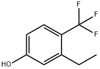 1243370-19-5