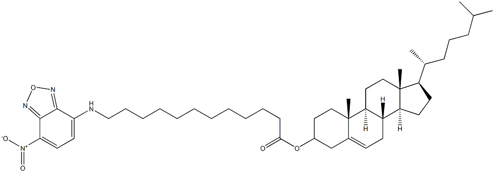 5-cholesten-3β-ol 12-[(7-nitro-2-1,3-benzoxadiazol-4-yl)amino]dodecanoate