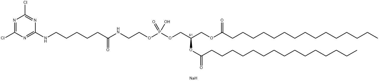 1,2-dipalmitoyl-sn-glycero-3-phosphoethanolamine-N-{6-[(cyanur)amino]hexanoyl} (sodium salt)