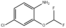 1250677-10-1