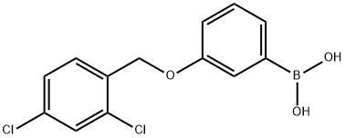 3-(2,4-Dichlorophenylmethoxy)phenylboronic acid
