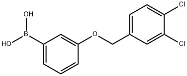 3-(3,4-Dichlorophenylmethoxy)phenylboronic acid