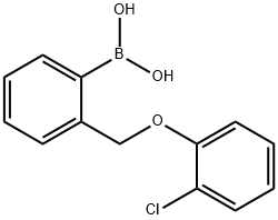 2-(2-Chlorophenoxymethyl)phenylboronic acid
