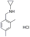 N-cyclopropyl 2,4-dimethylbenzylamine HCl