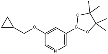 3-(Cyclopropylmethoxy)-5-(4,4,5,5-tetramethyl-1,3,2-dioxaborolan-2-yl)pyridine