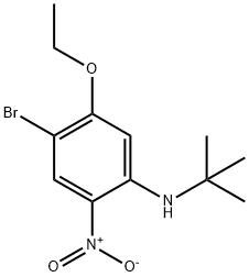 4-Bromo-N-tert-butyl-5-ethoxy-2-nitroaniline