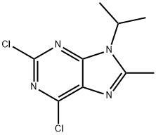 2,6-dichloro-8-methyl-9-(propan-2-yl)-9H-purine