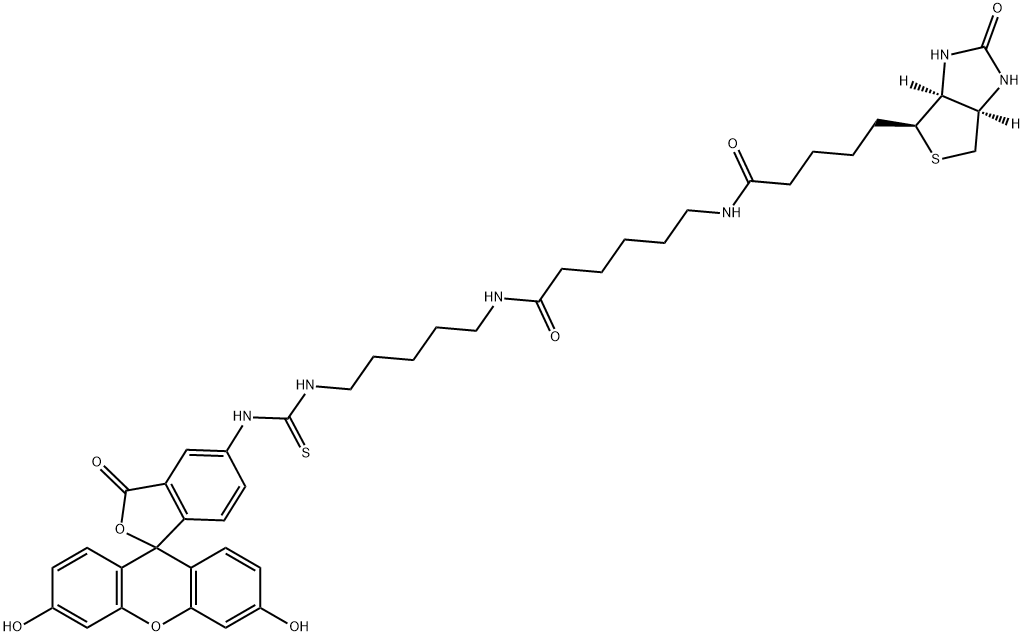 Fluorescein biotin [5-((N-(5-(N-(6-(biotinoyl)amino)hexanoyl)amino)pentyl)thioureidyl)fluorescein]