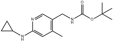1355200-05-3