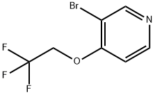 1357095-12-5