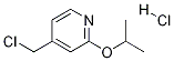 1357946-36-1
