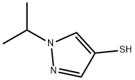 1361004-09-2