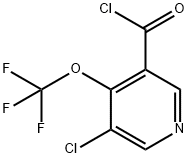 1361810-75-4