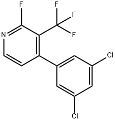 1361830-24-1